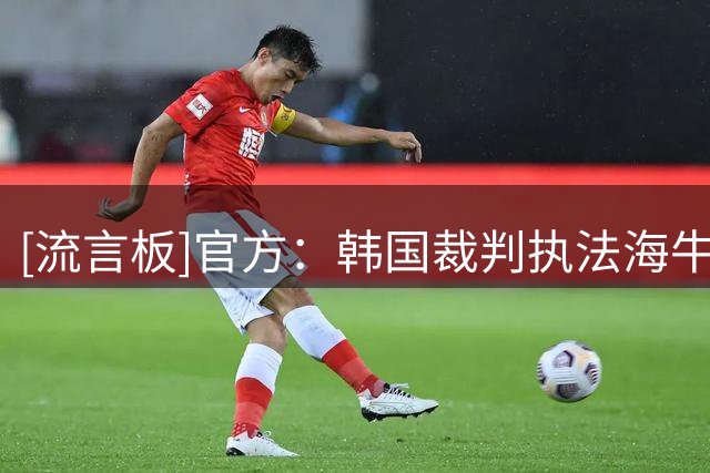 [流言板]官方：韩国裁判执法海牛vs天津&蓉城vs国安，艾堃吹上海德比